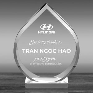 Kỷ niệm chương mica
